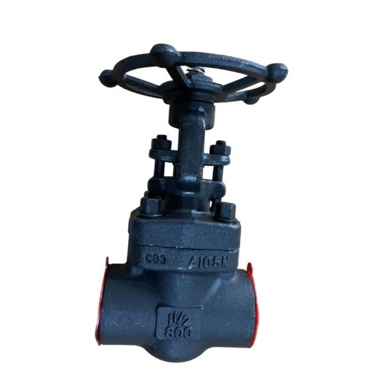 Stainless Steel Forged Welded Gate Valve